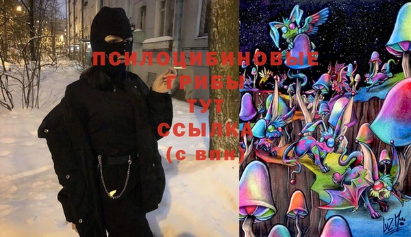 мет Абаза
