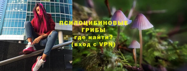 мет Абаза