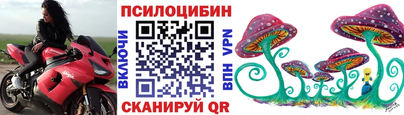 нарко площадка наркотические препараты  закладка  Тюмень  Галлюциногенные грибы мицелий  гидра ТОР 