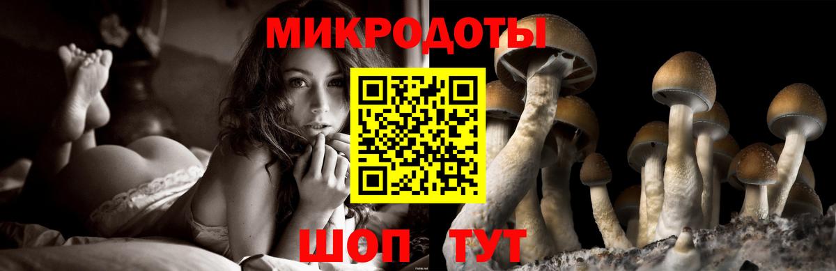Галлюциногенные грибы прущие грибы  Вход с VPN  Тюмень 